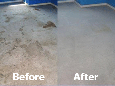 Before After EcoClean Pet Stain Odor Removal