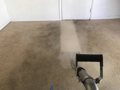 Eco Clean Carpet Stain Removal