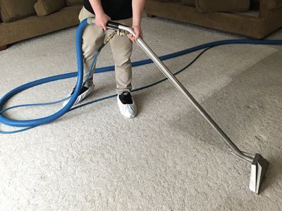 Pet Odor and Stain Removal in Naperville Il